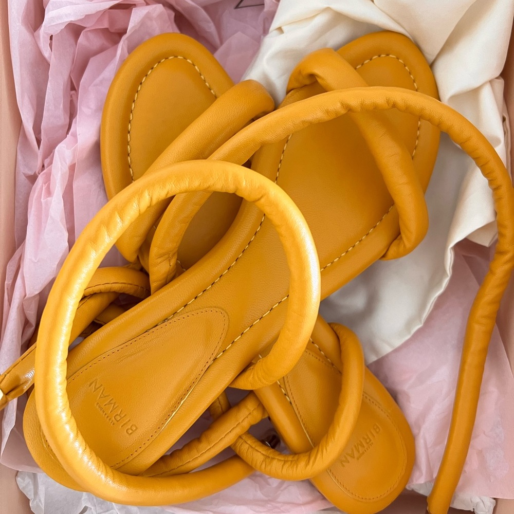 Alexandre Birman Sandals